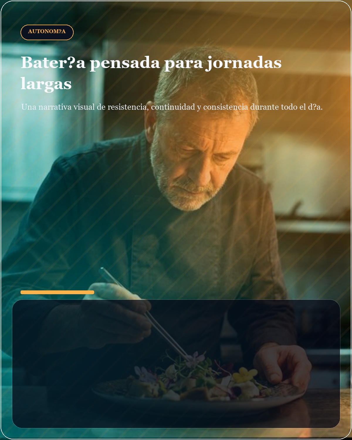 Bater&iacute;a Pro